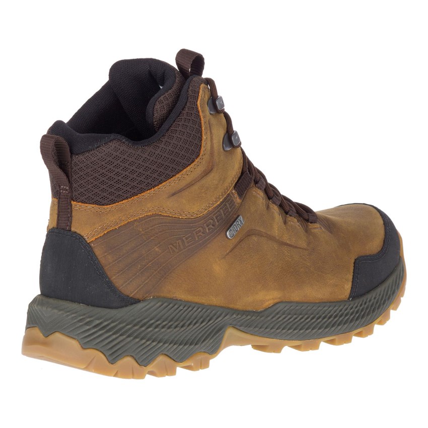 Chaussures Randonnée Merrell Forestbound Mid Waterproof Marron Homme | T.Y.JJCH